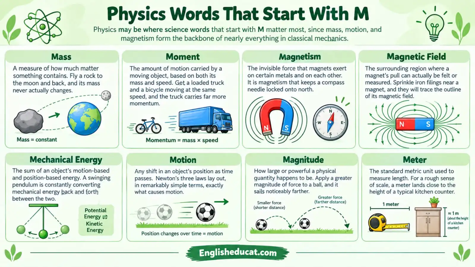 Science Words That Start With M