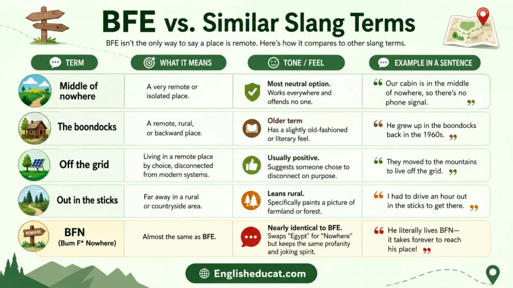 BFE Meaning in Text