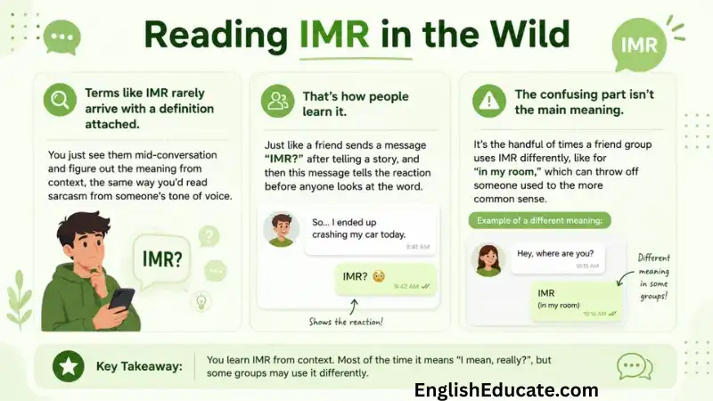 IMR Meaning in Text