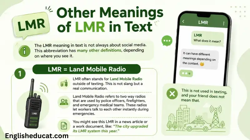 LMR Meaning in Text