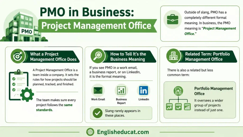 PMO Meaning in Text