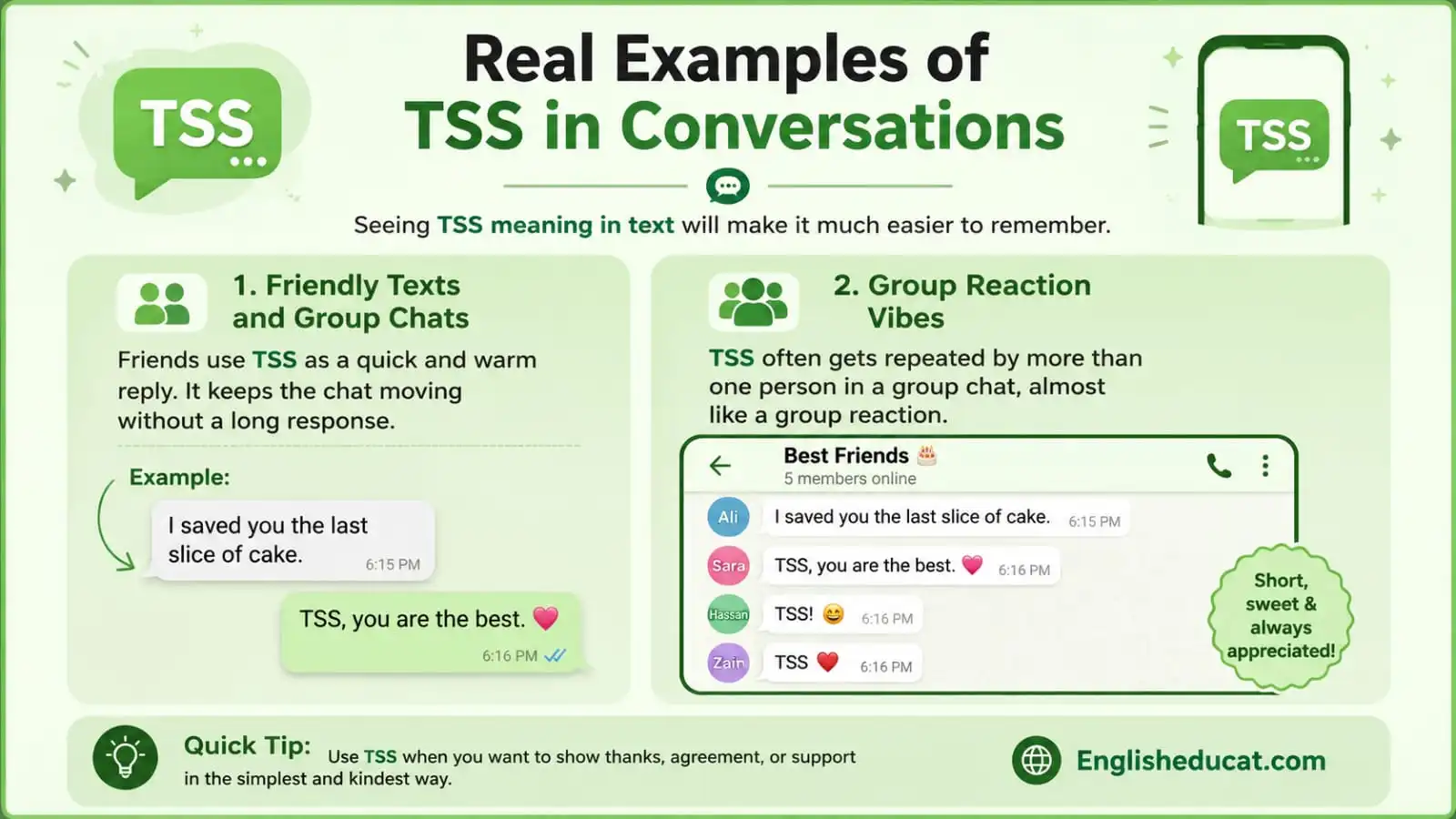 TSS Meaning in Text