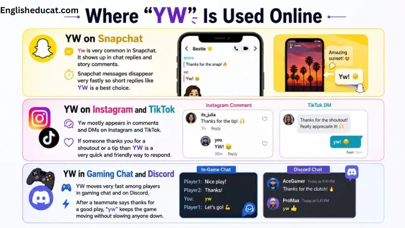 YW Meaning in text