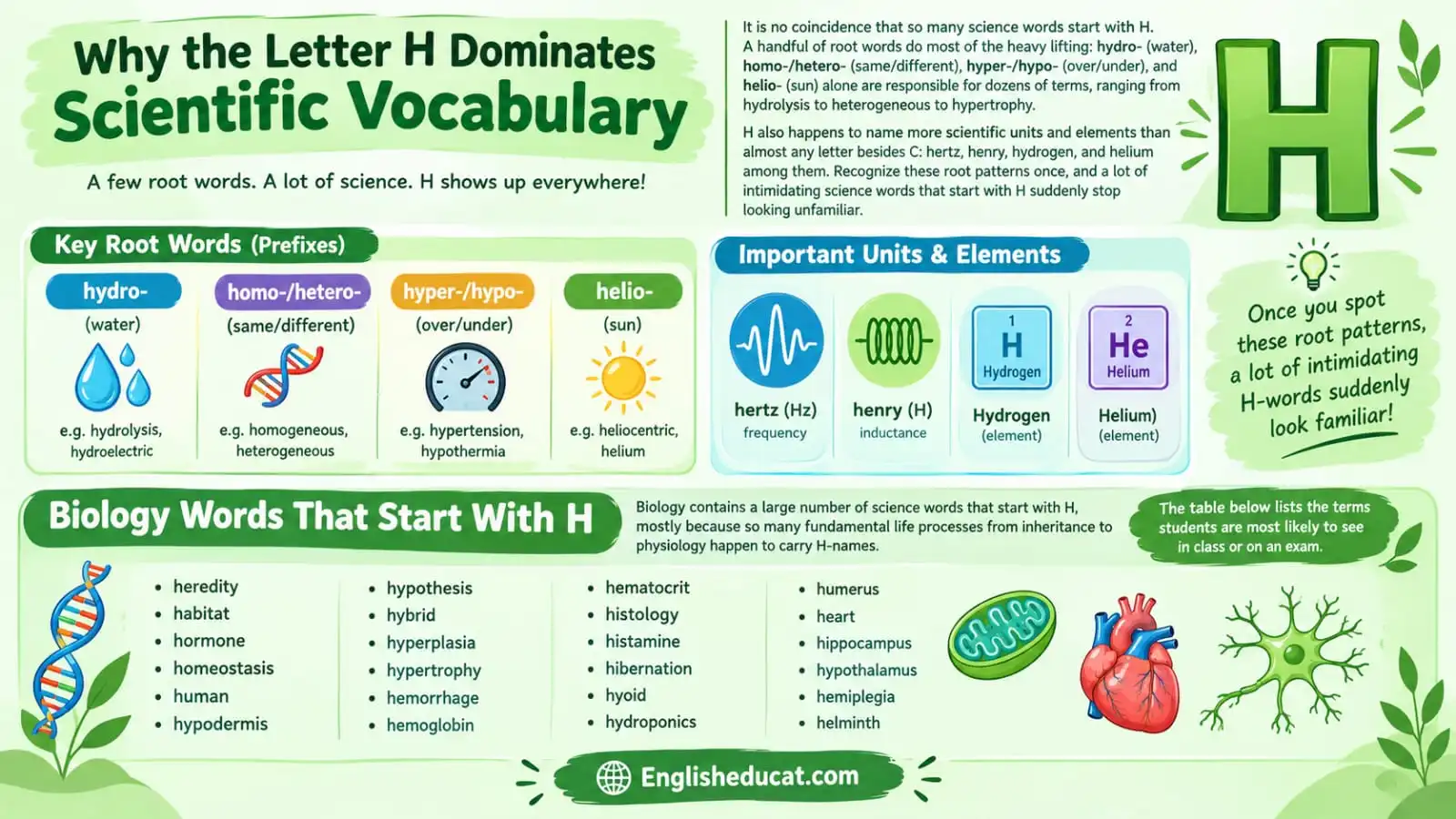 Science Words that start With H