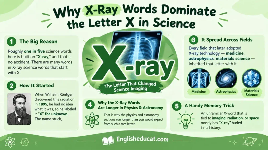 Science Words That Start With X