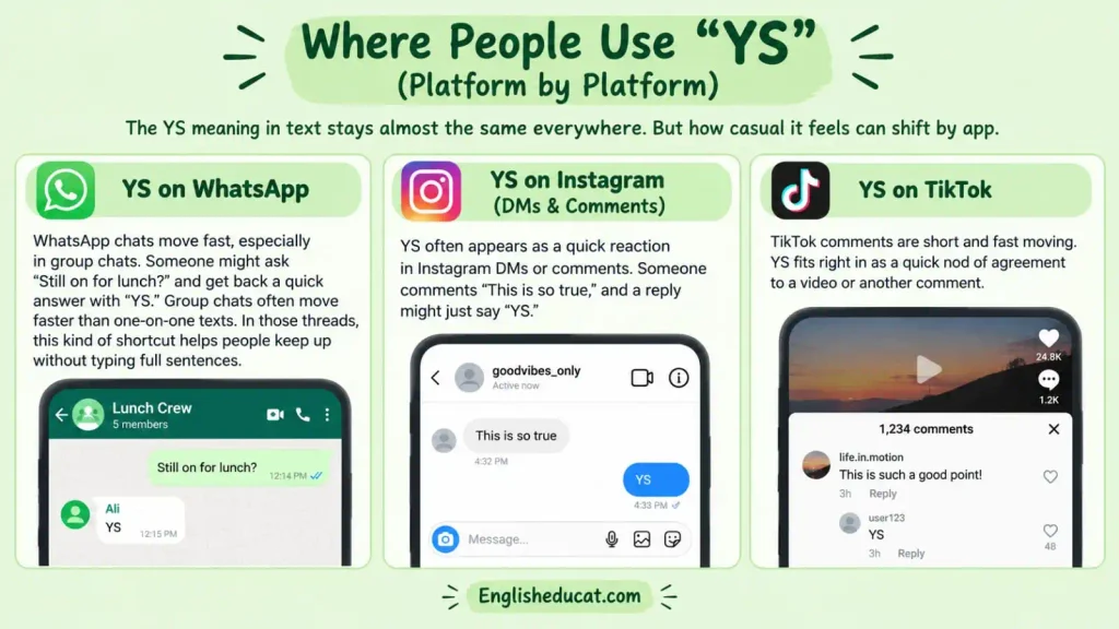 YS Meaning in Text