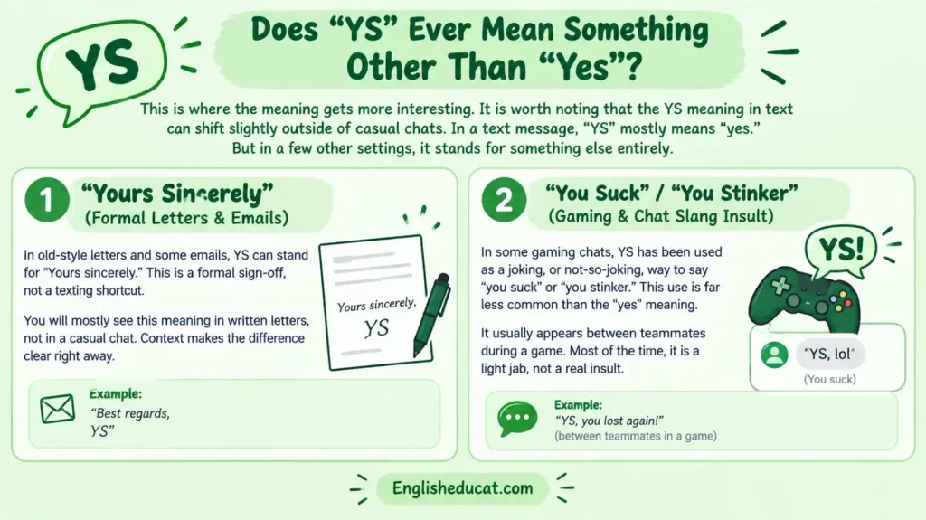 YS Meaning in Text