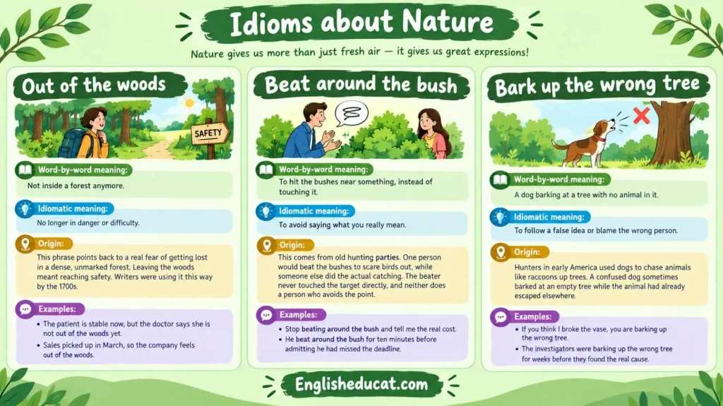 Idioms About Nature