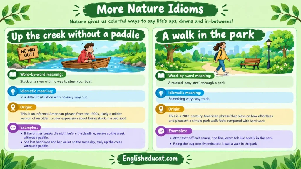 Idioms About Nature