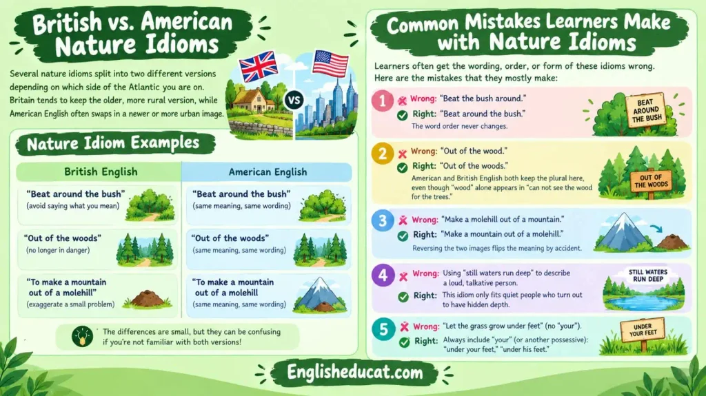 Idioms About Nature
