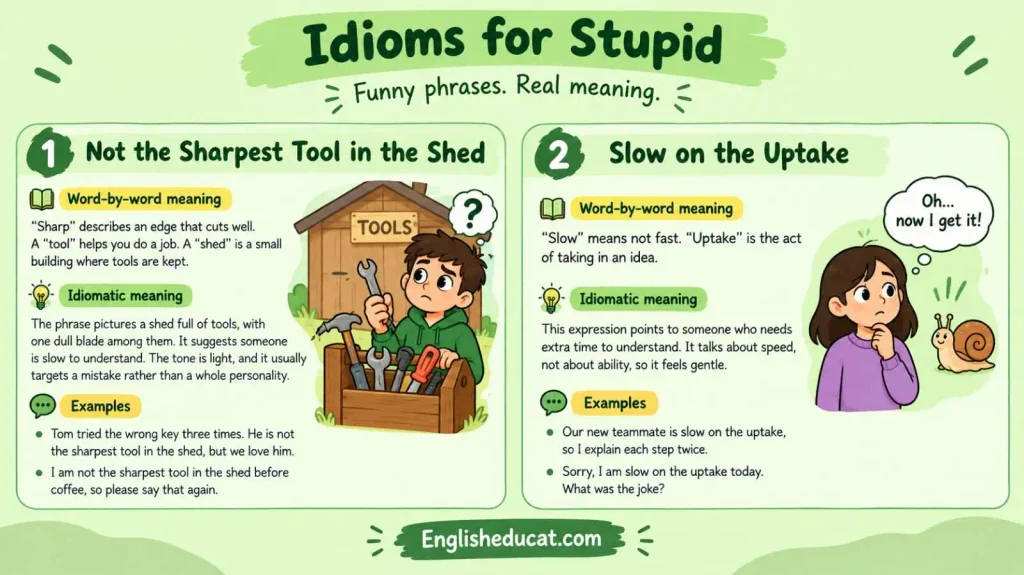Idioms for Stupid