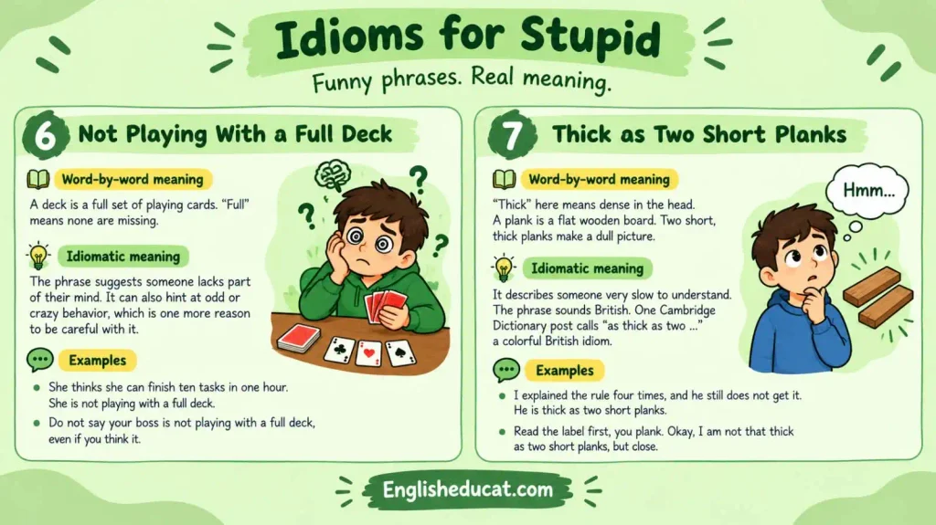 Idioms About Stupid
